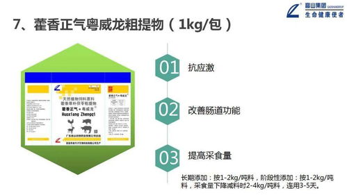 大力推進(jìn)一體化形象服務(wù)體系建設(shè)，推動(dòng)高山中獸藥向更高水平發(fā)展——信息系統(tǒng)運(yùn)行維護(hù)服務(wù)篇