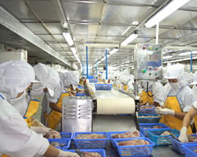 浙江省某海產品加工廠項目可行性研究報告